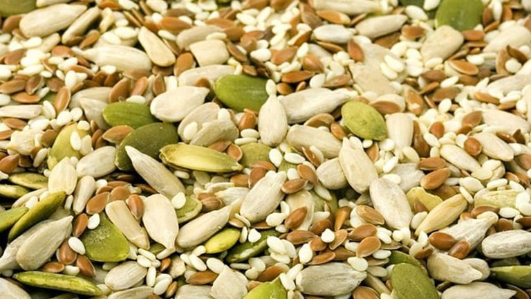 Seeds & Kernels